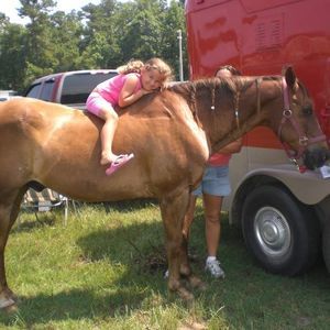 Meet your Posher, Patsy